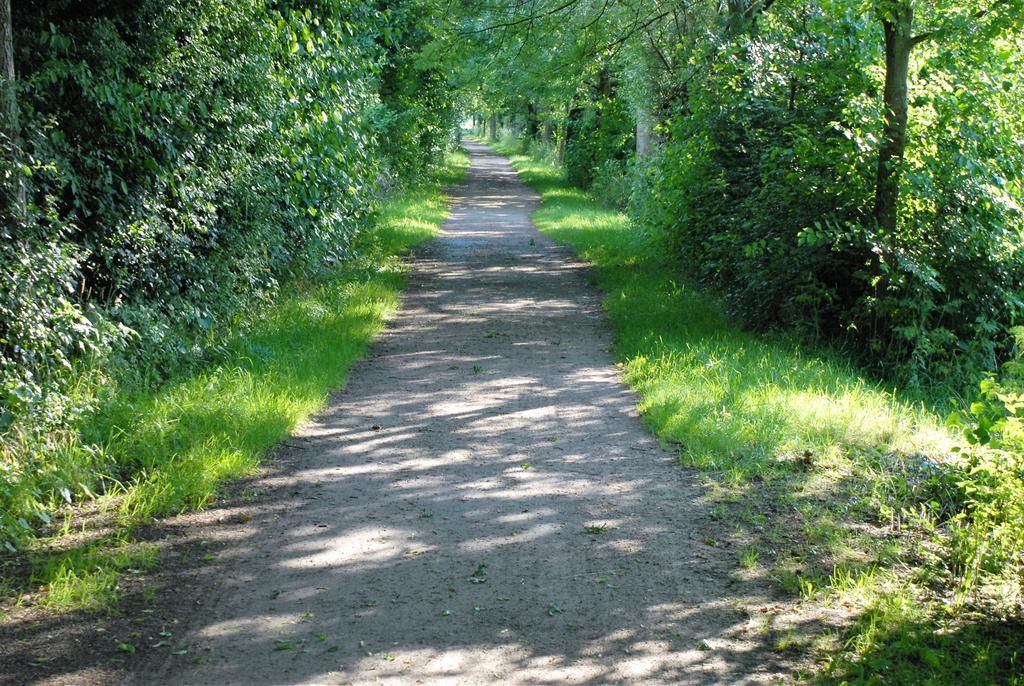 Gasthof Brinkmeier Lippstadt Bagian luar foto